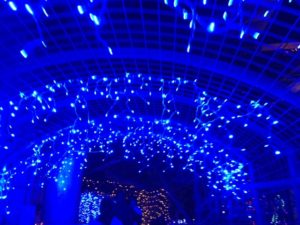 青い光のトンネル